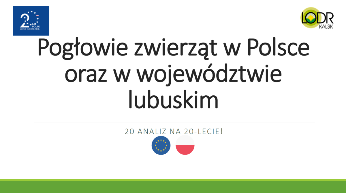Pogłowie zwierząt w Polsce oraz w województwie lubuskim