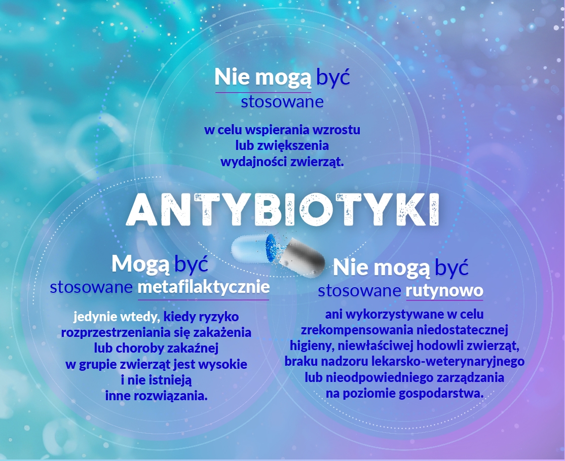 Antybiotykooporność – zagrożenie dla ludzi, zwierząt i środowiska