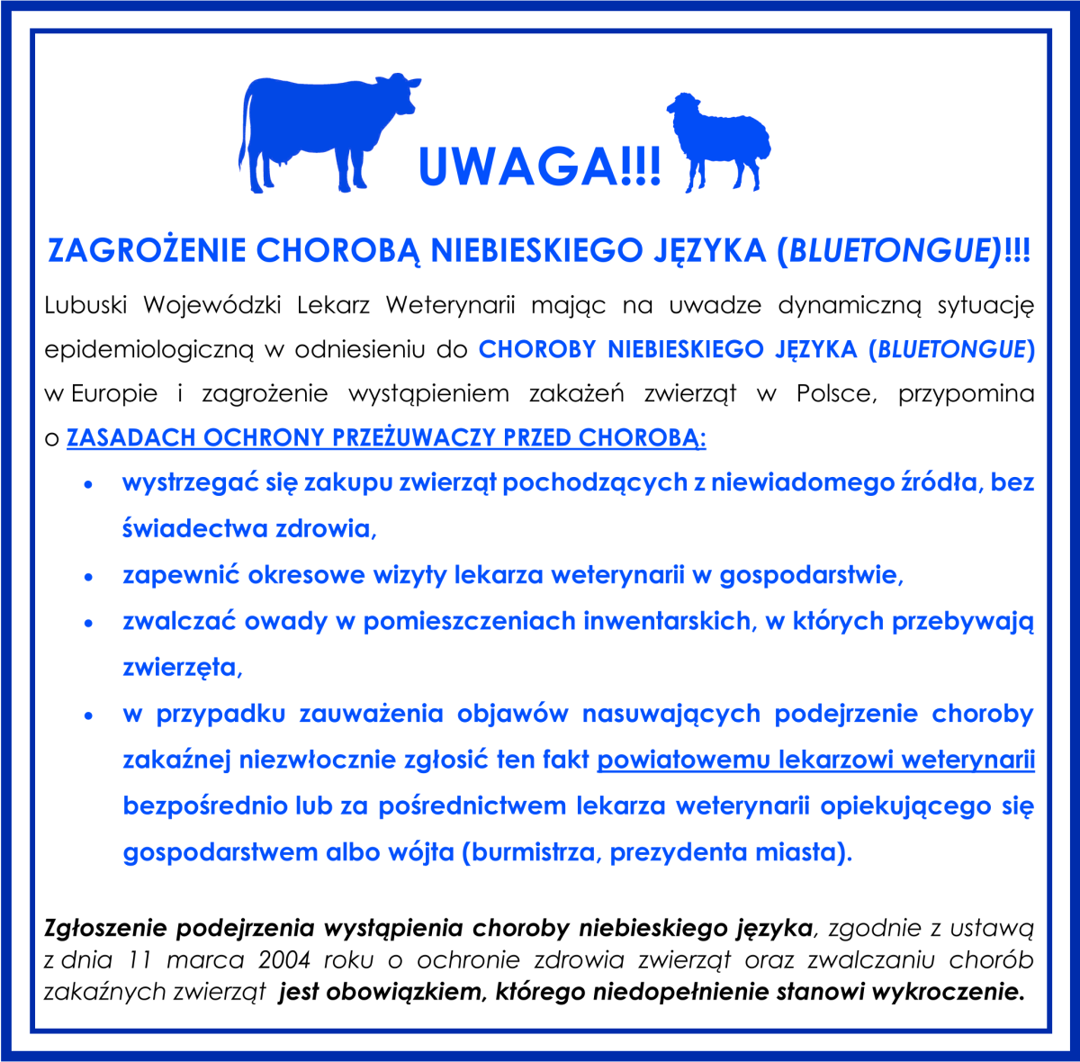 Choroba niebieskiego języka - ważne informacje dla rolników 