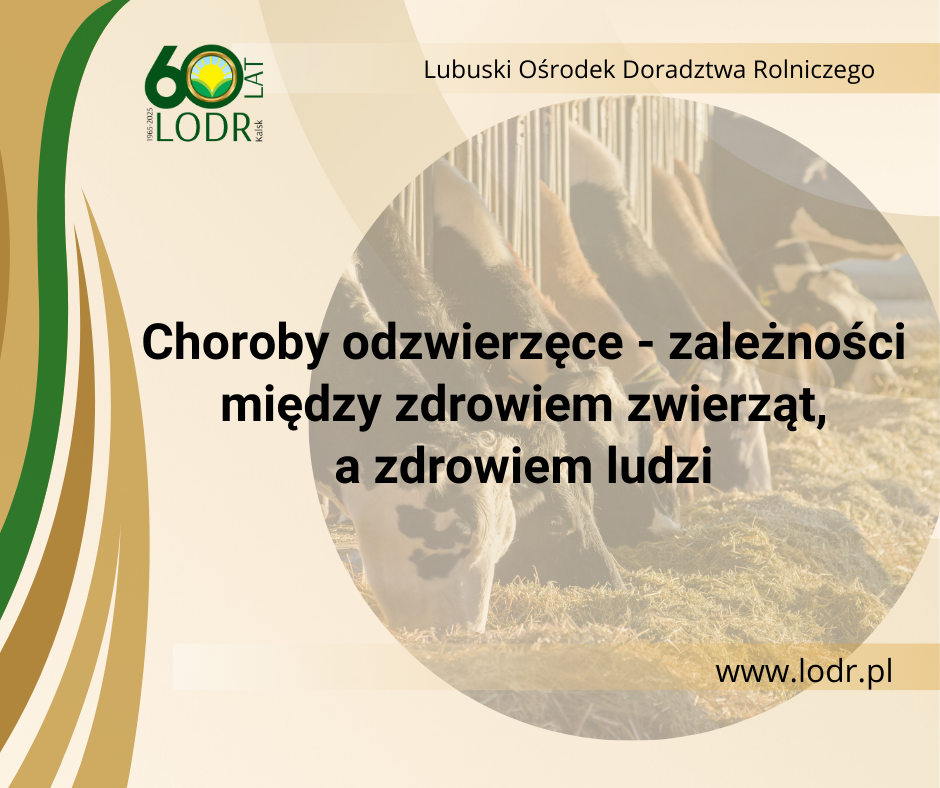 Choroby odzwierzęce - zależności między zdrowiem zwierząt, a zdrowiem ludzi