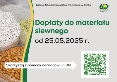grafika LODR Kalsk