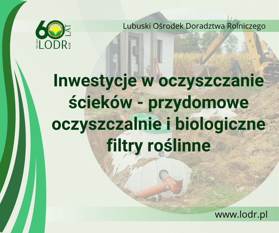 Inwestycje w oczyszczanie ścieków – przydomowe oczyszczalnie i biologiczne filtry roślinne