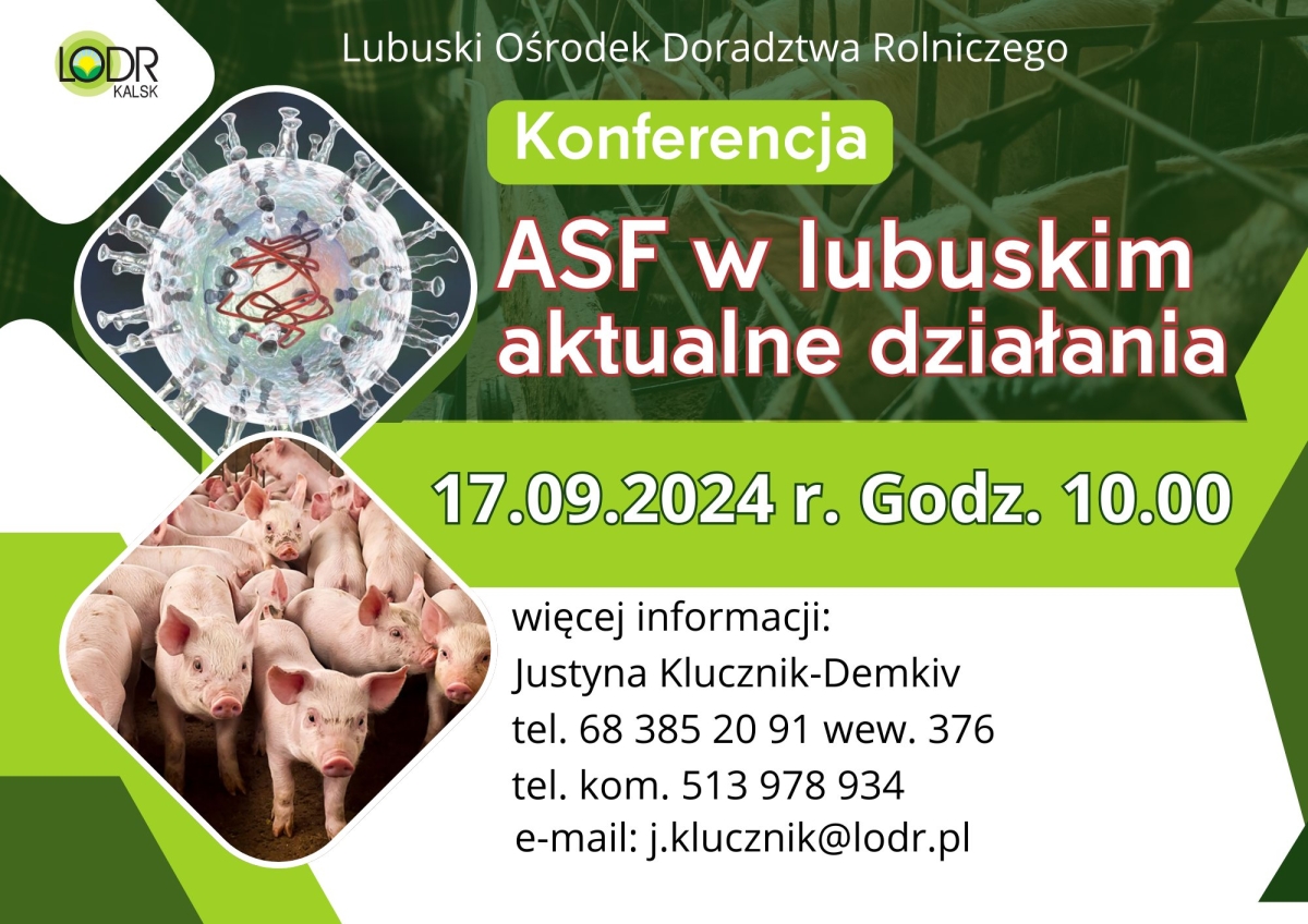 Konferencja ASF w lubuskim - aktualne działania.