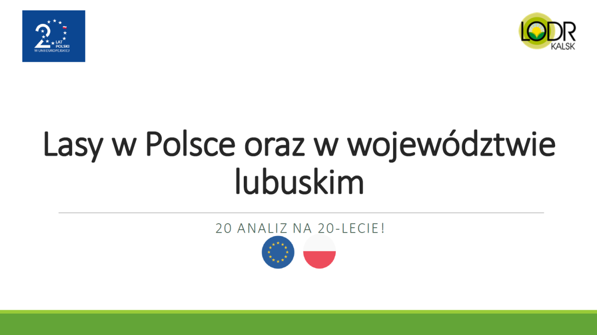 Lasy w Polsce oraz w województwie lubuskim