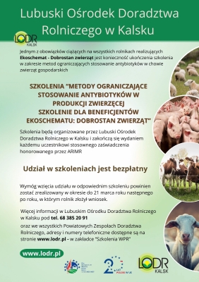 Metody ograniczające stosowanie antybiotyków w produkcji zwierzęcej – szkolenie dla beneficjentów ekoschematu Dobrostan zwierząt