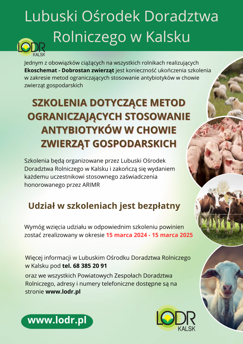 Metody ograniczające stosowanie antybiotyków w produkcji zwierzęcej – szkolenie dla beneficjentów ekoschematu Dobrostan zwierząt