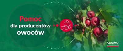 Pomoc dla producentów owoców