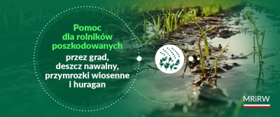 Pomoc dla rolników poszkodowanych przez grad, deszcz nawalny, przymrozki wiosenne i huragan