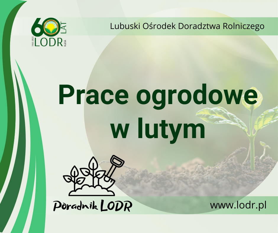 Poradnik ogrodniczy - Prace ogrodowe w lutym