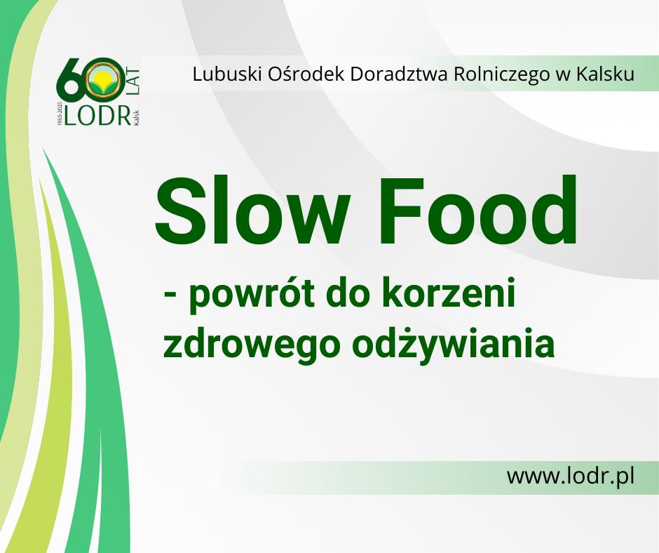 Slow Food – powrót do korzeni zdrowego odżywiania