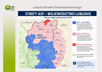 środki szczególne w zakresie zwalczania chorób w odniesieniu ASF