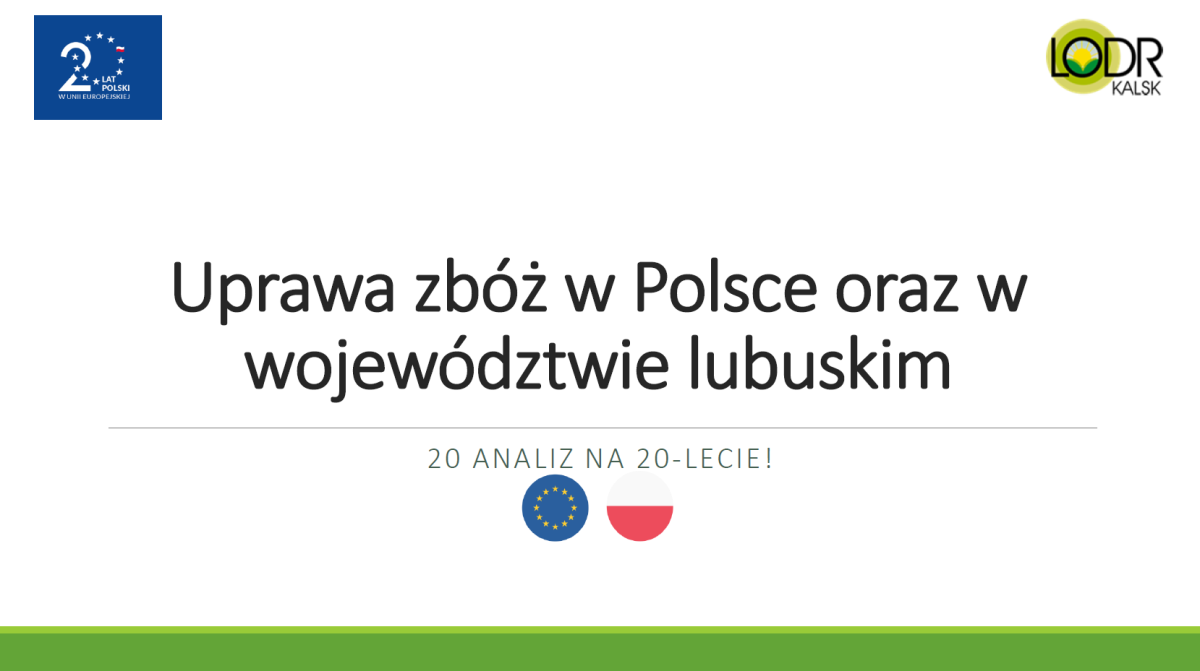 Uprawa zbóż w Polsce oraz w województwie lubuskim