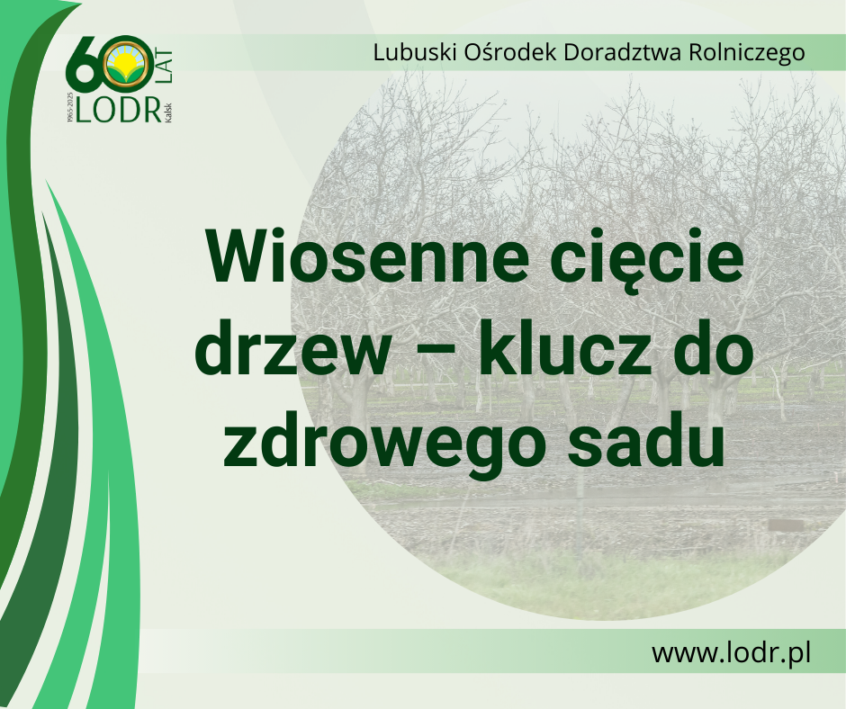 Wiosenne cięcie drzew – klucz do zdrowego sadu