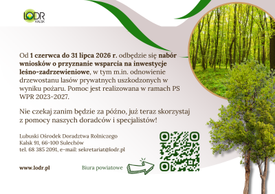 Wsparcie na inwestycje leśne lub zadrzewieniowe