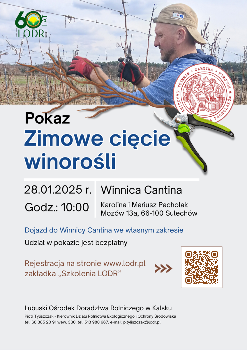 Zimowe cięcie winorośli - Pokaz