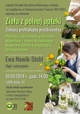 „Zioła z polnej apteki. Ziołowa profilaktyka prozdrowotna.  Maceracja jako metoda wydzielania składników z materiału roślinnego,  stosowana dawniej w preparatyce farmaceutycznej”