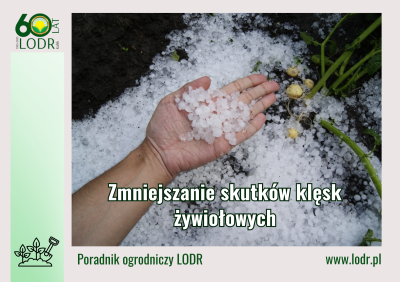 Zmniejszanie skutków klęsk żywiołowych