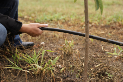 Innowacyjne rozwiązania w nawadnianiu upraw w aspekcie niedoboru wody na terenach wiejskich