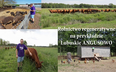 Rolnictwo regeneratywne na przykładzie Lubuskiego Angusowa - Z NATURY innowacyjne... - alternatywne źródła dochodu gospodarstwa rolnego